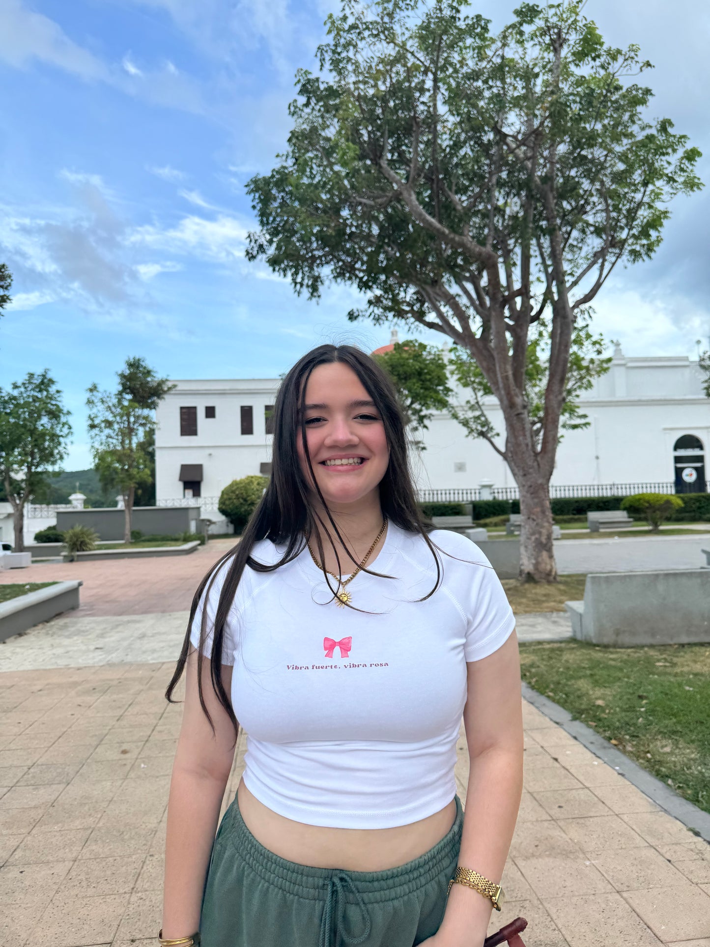Vibra fuerte, vibra rosa π